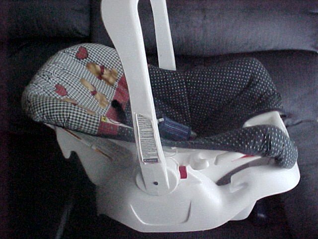 Century Infant Carrier