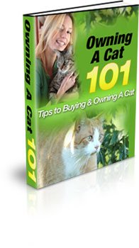 Tips To Buying & Owning A Cat - ebook