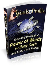 Words to Profit - ebook