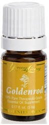 GOLDENROD - 5 ML