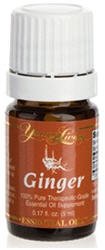 GINGER- 5 ML