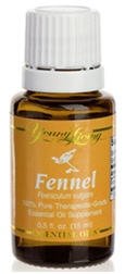 FENNEL - 15 ML