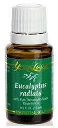 EUCALYPTUS RADIATA - 15 ML