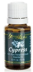 CYPRESS - 15 ML