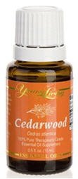 CEDARWOOD - 15 ML
