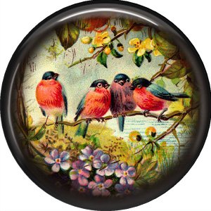 Birds on a Branch, 1 Inch Pinback Button Badge Pin - 0229