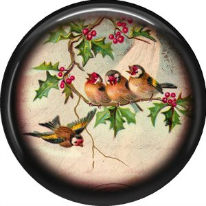 Brown Birds, 1 Inch Pinback Button Badge Pin - 0237