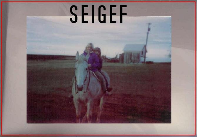 Seigef - CD-R Going Native Records 2010