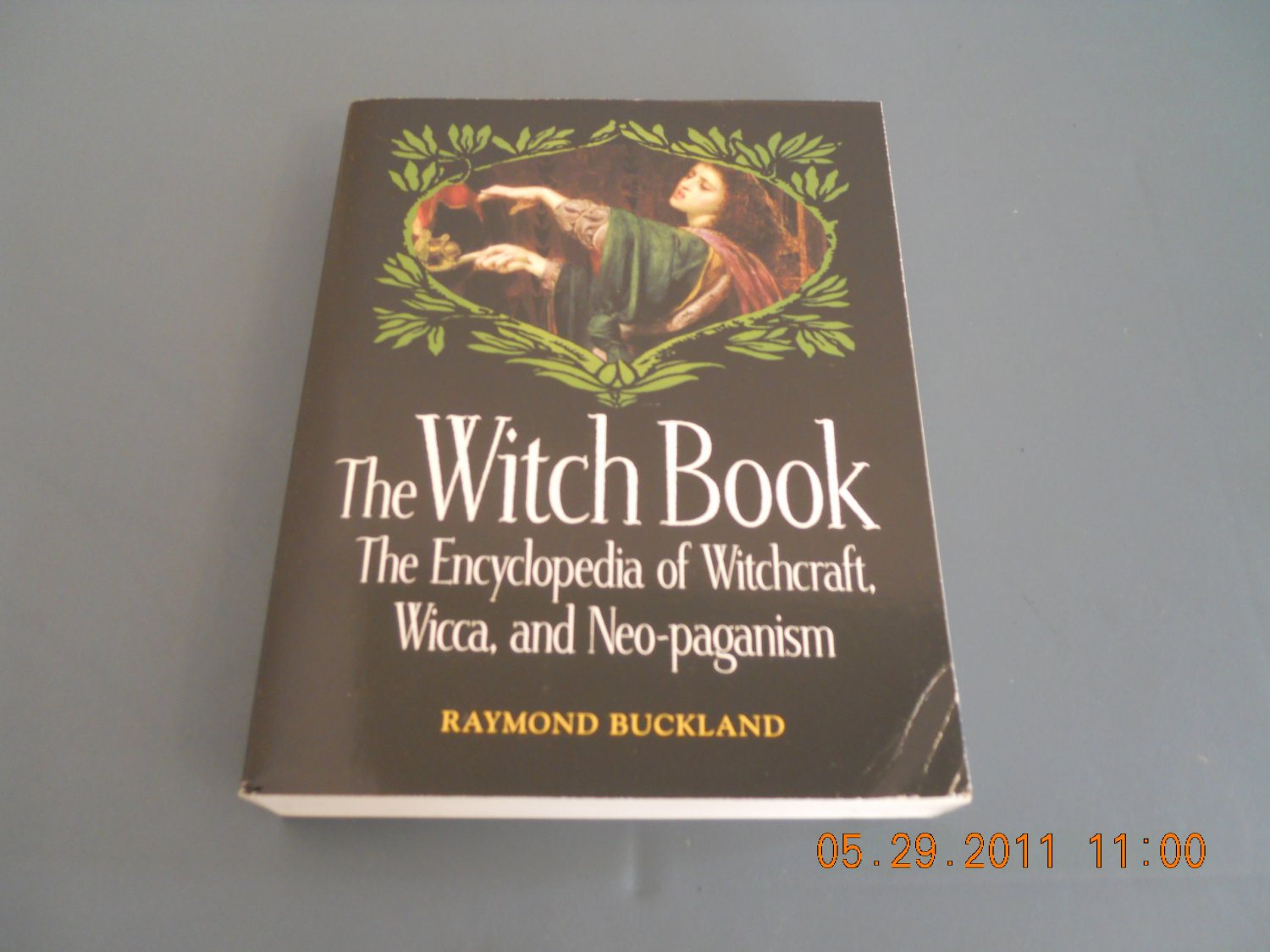 The Witch Book The Encyclopedia of Witchcraft, Wicca, and Neo-Paganism paperback