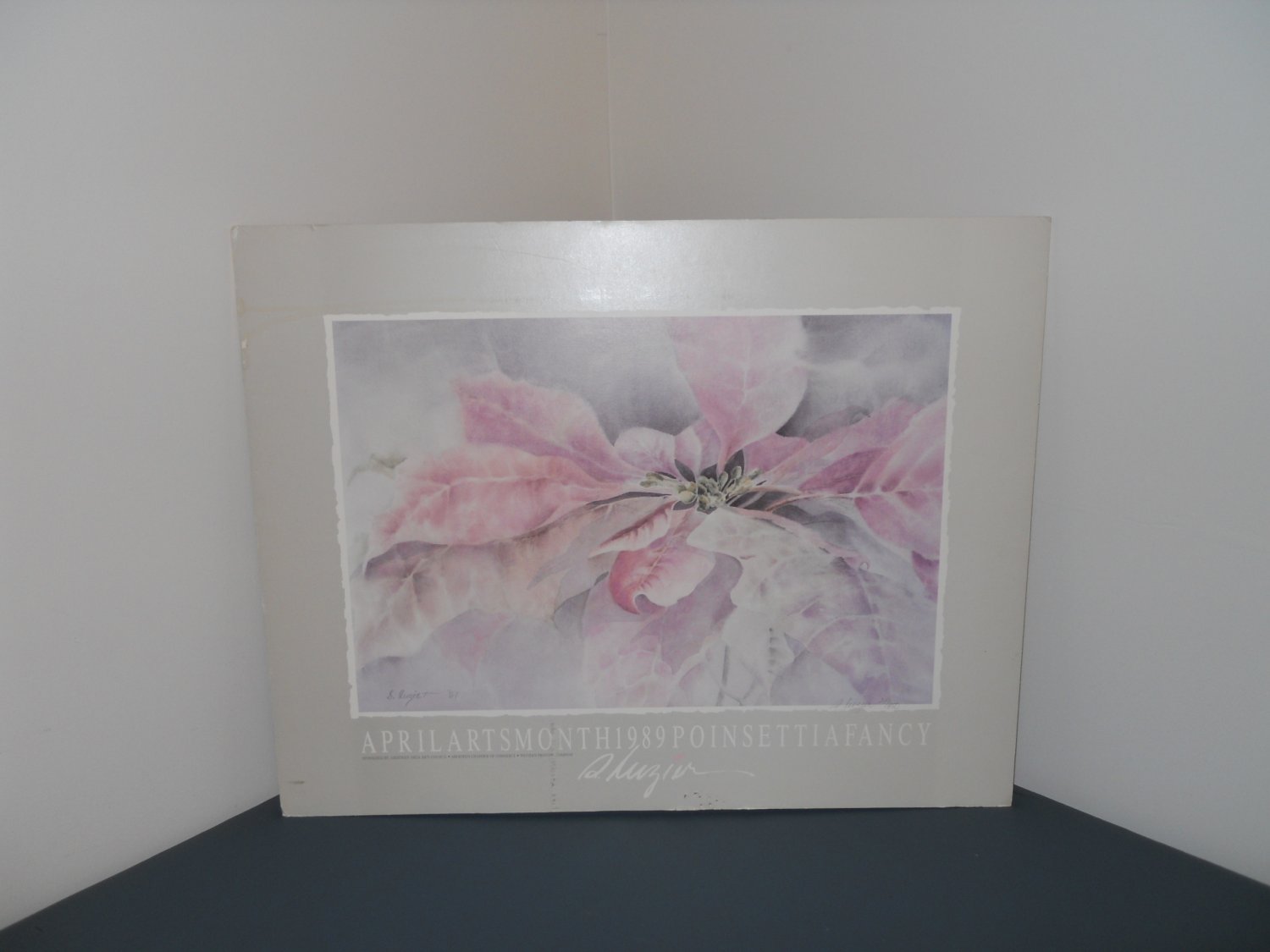 poinsettia art print water-color by S. Luzier - limited print 24/450 autographed - OOP