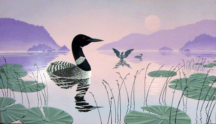 Loon On Calm Waters**Original Painting**Signed