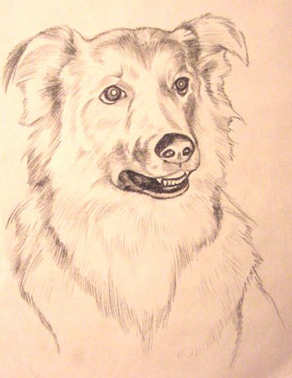 CUSTOM PET PAINTING-EXAMPLE -2
