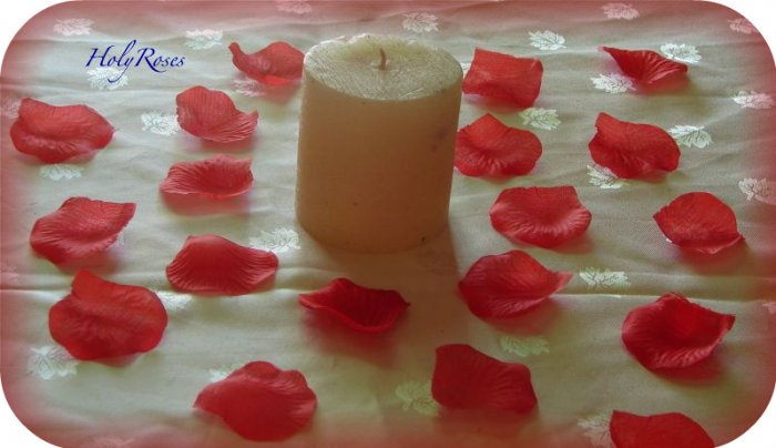 1000 Red Silk Rose Petals (TL) Perfect for Valentine's Day