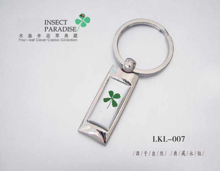 KeyChain-24