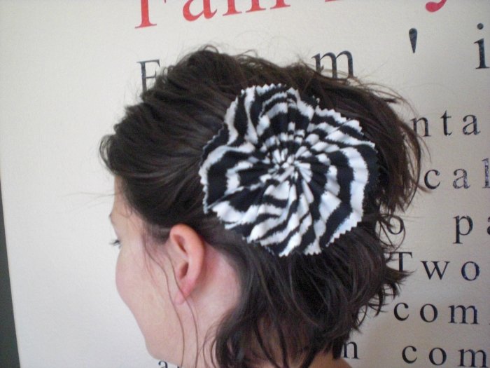 ZEBRA FUN