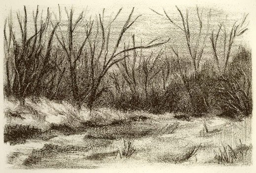 The Landscape