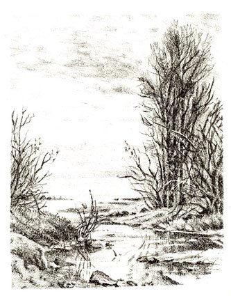 The Landscape~~~