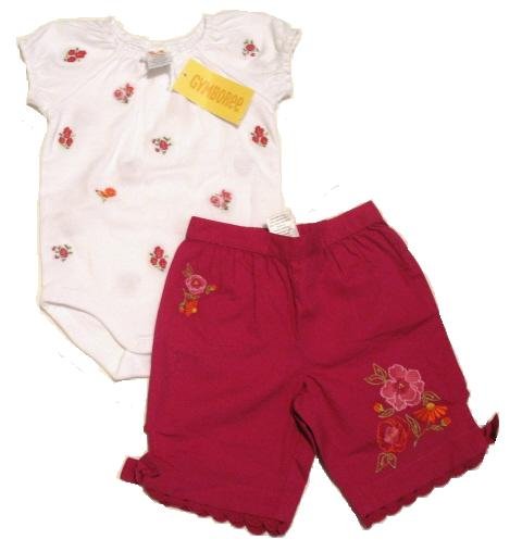GYMBOREE Summer Bouquet Capri Pants Top Set 3-6 Mo NEW