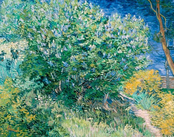 Lilac Bush water landscape canvas art print by Vincent van Gogh