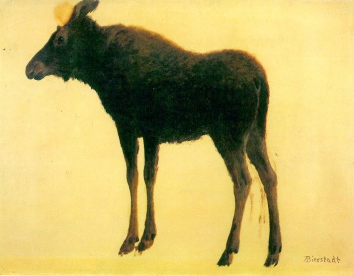 Elk or wapiti largest species of deer American wild animal canvas art print by Albert Bierstadt