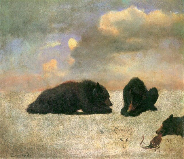 Grizzly Bears American wild animals canvas art print by Albert Bierstadt