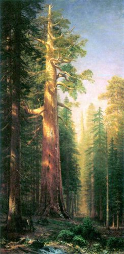 The Big Trees Mariposa Grove California landscape canvas art print by Bierstadt