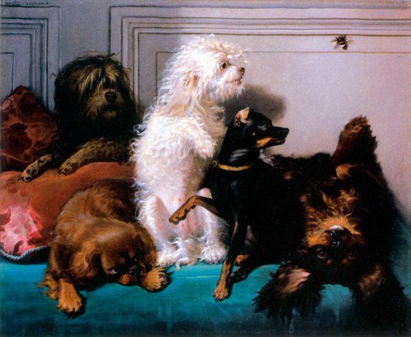 The Bumblebee c 1840 dog canvas art print by Francois Bernard
