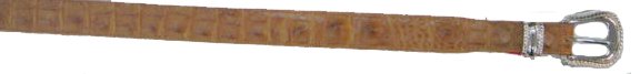 man belts No.CA512