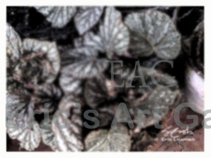 Leaves with Python's hide