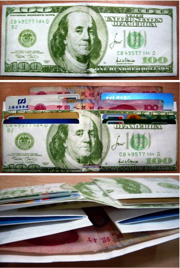 Environmental Friendly Tyvek 100 USD Wallet