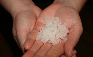 1/4 cup Water Kefir Grains Japanese Crystals Probiotic Beverage