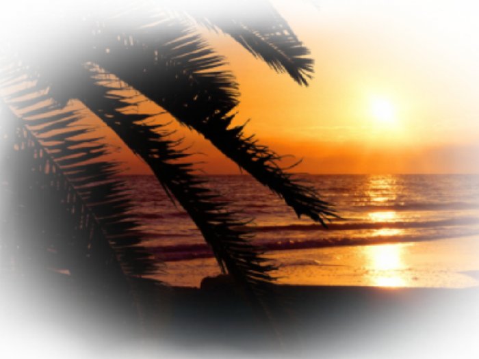 BEACH Sunset Scene Bathroom Shower Curtain beach #3