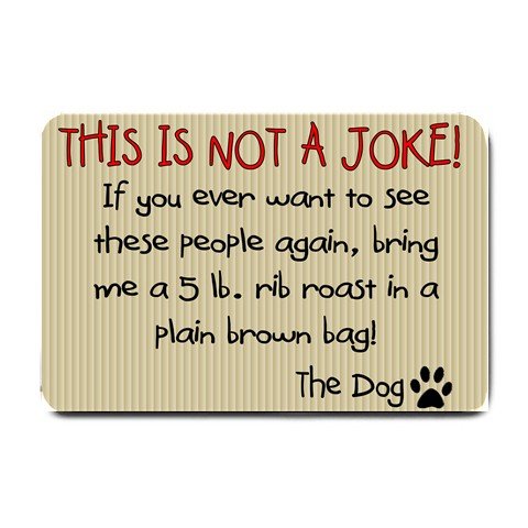 Humorous Funny Doormat, Mats Indoor Outdoor rugs #BSEC-CT