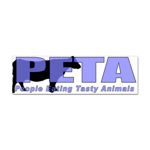 10 pack of Funny PITA Car Bumper Stickers - TEN Bumper Stickers 27719043