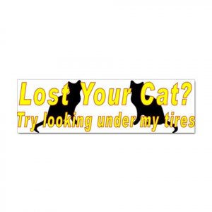 10 pack of Funny LOST CAT Car Bumper Stickers - TEN Bumper Stickers ...