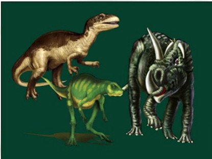 DINOSAURS VELVETEEN PLUSH FLEECE BLANKET 80" X 60" QUEEN #BSEC-CT