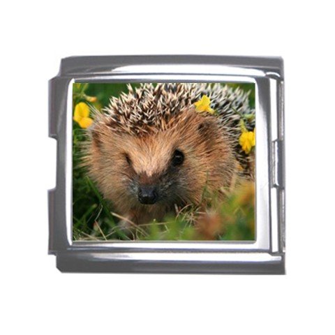 Hedgehog Italian Charm Bracelet Single MEGA Charm Size 18mm 26846853