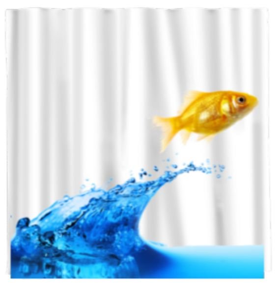 Funny GOLDFISH Bathroom Shower Curtain #AN-40841486