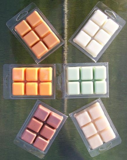 TART MELTS in 6 Block Clamshell - SET OF 2