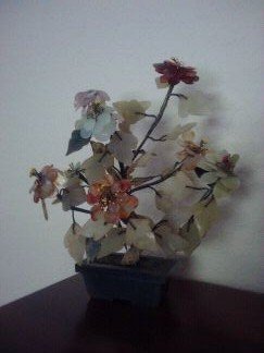 Jade Tree with Flowers