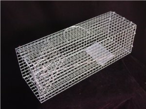 Humane Rat Trap - Metal Cage Single Door For Live Rodents - Heavy Duty
