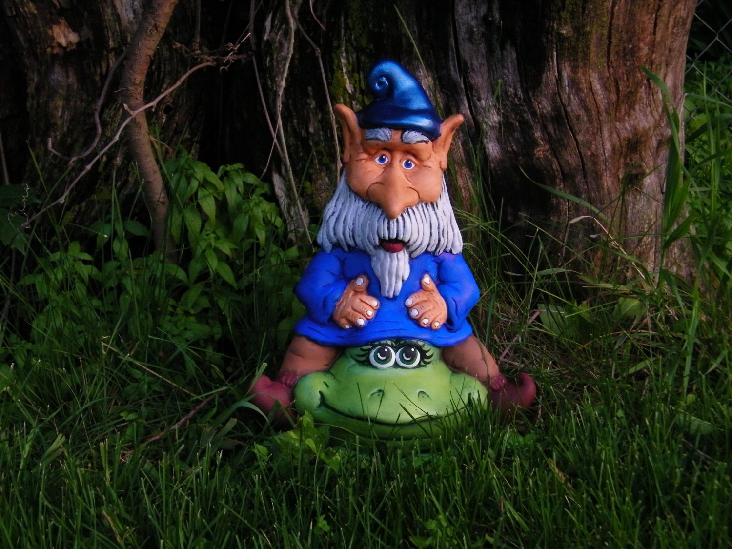 Gnome on Trutle