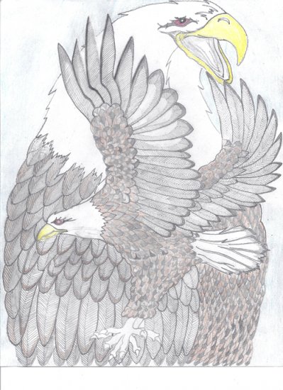 Dual Eagles