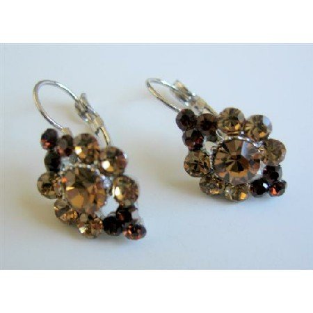 ERC470 Brown Crystals Earrings Smoked Topaz Crystals Light & Dark Earrings
