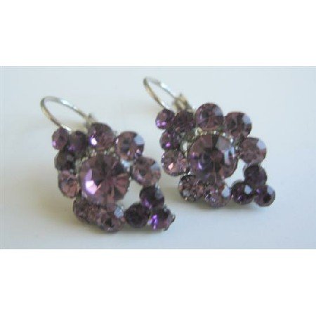 ERC455 Vintage Elegant Amethyst Crystals Earrings