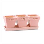 NEW BLOOM BABY BLOOM PLANTERS WITH TRAY