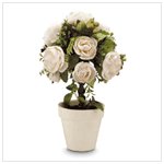 ROSE TOPIARY