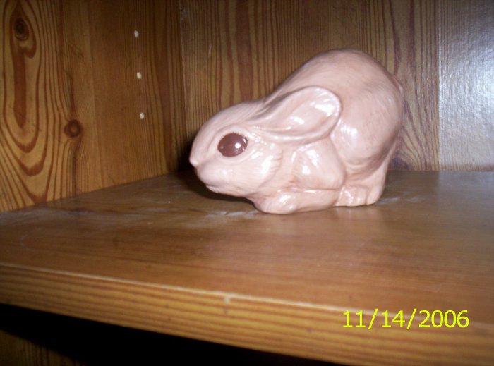 Brown Bunny