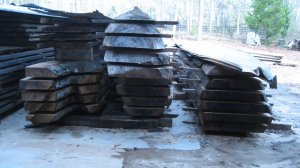 Oak Slabs-Large