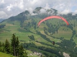 Firebird Twix Tandem. USD 3750.00 Free shipping inside U.S, no sales tax outside Hawaii